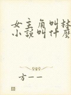 女主角叫林晚的小说叫什么名字