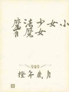 魔法少女小圆所有魔女