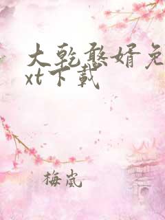 大乾憨婿免费txt下载