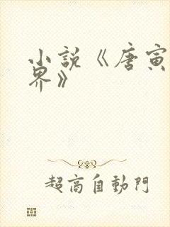 小说《唐寅在异界》