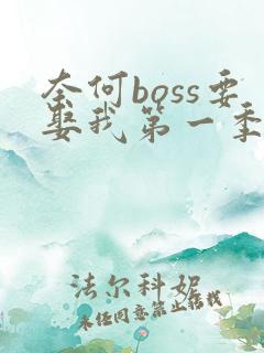 奈何boss要娶我第一季高清