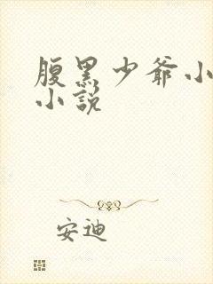 腹黑少爷小甜妻小说