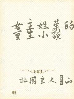 女主姓叶的军旅重生小说