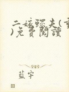 二嫁鳏夫(重生)免费阅读