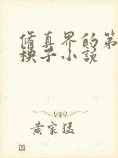 修真界的第一病秧子小说