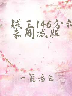 贼王146分钟未删减版