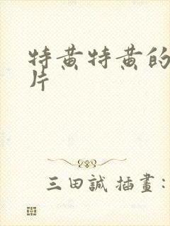 特黄特黄的一级片