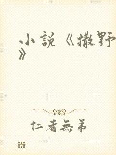 小说《撒野巫哲》