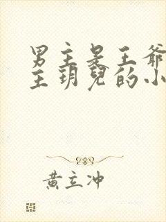 男主是王爷叫女主玥儿的小说