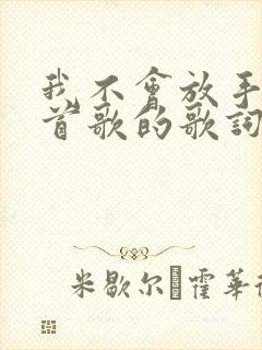 我不会放手是哪首歌的歌词