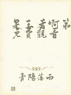 是王者啊第一季免费观看