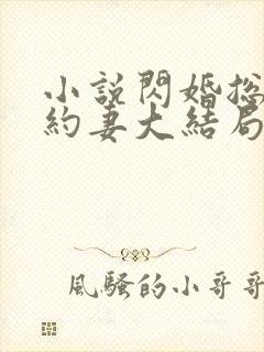 小说闪婚总裁契约妻大结局