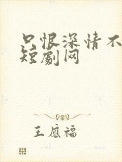 只恨深情不识鸢短剧网