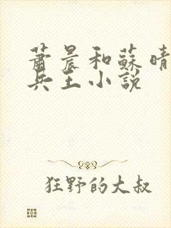 萧晨和苏晴全能兵王小说