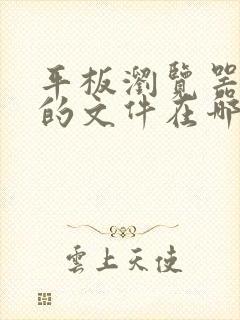 平板浏览器下载的文件在哪个文件夹