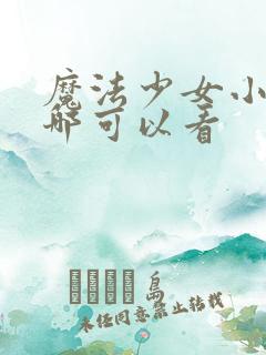 魔法少女小圆在哪可以看