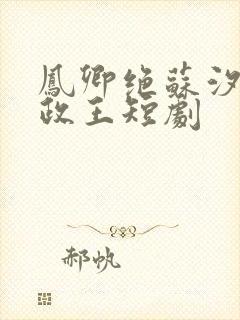 凤卿绝苏汐月摄政王短剧