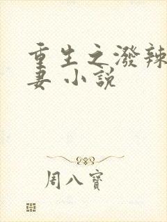 重生之泼辣小福妻 小说