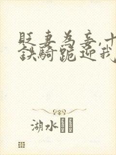 贬妻为妾,十万铁骑跪迎我登基萧倾雪