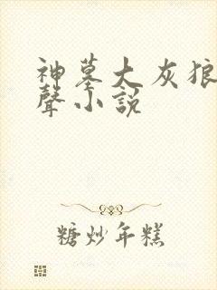 神墓大灰狼版有声小说