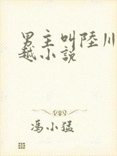 男主叫陆川的穿越小说