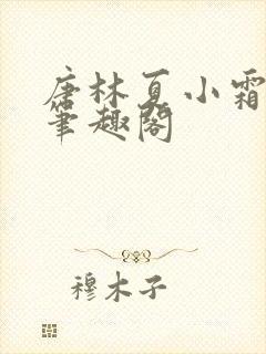 唐林夏小霜小说笔趣阁