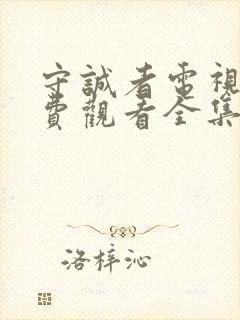 守诚者电视剧免费观看全集在线播放