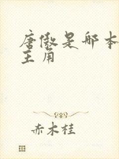 唐傲是哪本小说主角