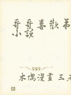 哥哥喜欢弟弟的小说