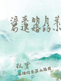 澹台明月叶玄开局退婚的小说