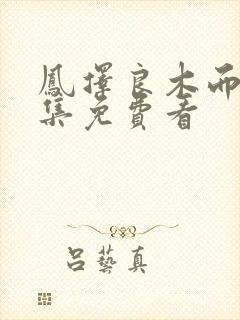 凤择良木而栖全集免费看