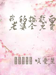 我的总裁白富美老婆全免费的小说