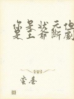 你是状元但你爹是王爷断剧