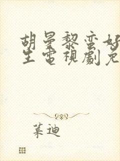 胡曼黎蛮好的人生电视剧免费观看