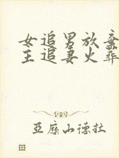 女追男放弃后男主追妻火葬场