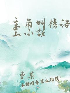 主角叫杨洛的兵王小说