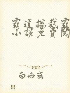 霸道总裁霸道爱小说免费阅读