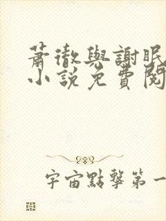 萧彻与谢眠薇的小说免费阅读