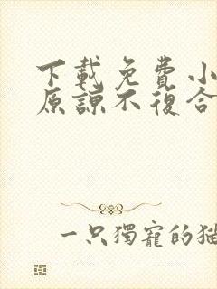 下载免费小说不原谅不复合苏小姐独美