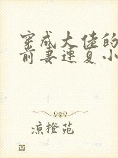 穿成大佬的病弱前妻连夏小说