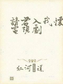 请君入我怀免费电视剧