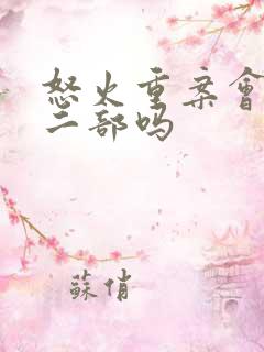 怒火重案会有第二部吗