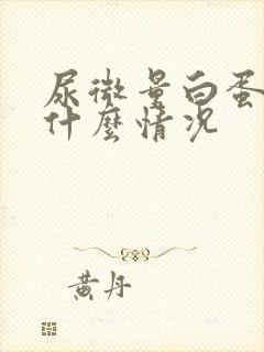 尿微量白蛋白高什么情况