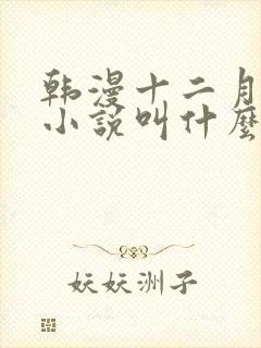 韩漫十二月原著小说叫什么