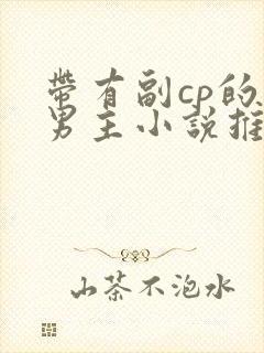 带有副cp的双男主小说推荐完结文