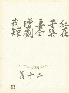 我赠妻子红缨枪短剧全集在线观看