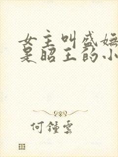 女主叫盛妩男主是昭王的小说