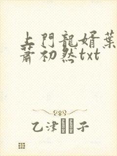 上门龙婿叶辰,萧初然txt
