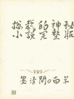 总裁的神秘甜妻小说完整版本