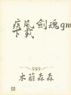 疾风剑魂gm版下载